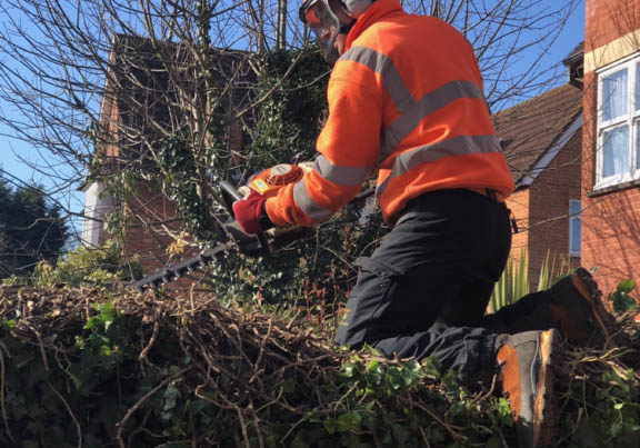 image00022 hedge trimmer