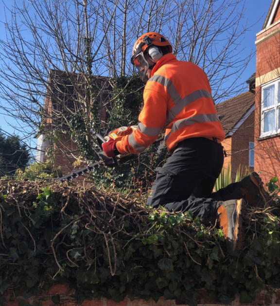 image00022 hedge trimmer